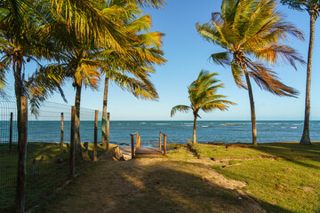 Fototapeta premium Praia tropical de Itacimirim no litoral da Bahia 