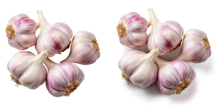 Cabeças de alho em fundo transparente com e sem sombra projetada em vista superior