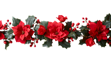 Red poinsettia flowers and holly leaves arranged in festive garland isolated on white background