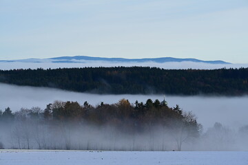 Portrait eines sch&ouml;nen langhaarigen H&uuml;tehundes der im Schnee liegt und um den Hals einen weihnachtlichen Kranz tr&auml;gt