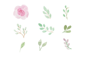 Obraz premium Assortment of watercolor leaves illustration set - green leaf branches collection for wedding, greetings, stationary, wallpapers, fashion, background. olive, green leaves, Eucalyptus etc