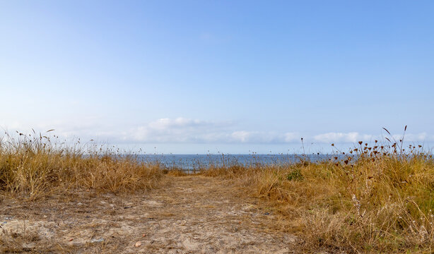 Sandy path through dry grass dunes leading to the sea with blue sky copy space.