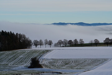 Winterliche Landschaft mit Bergen und W&auml;ldern die von dicken Nebelschwaden durchzogen werden