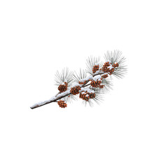 A snow-covered pine branch adorned with pine cones, showcasing the beauty of winter in nature.