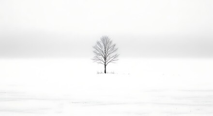 Solitary Bare Tree in a Vast White Snowy Field Under a Hazy Sky winter
