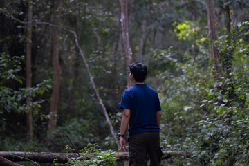Obraz premium A man is standing in a forest, looking at something in the distance