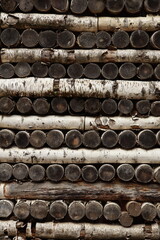 Birch firewood stacked in neat rows alternating lengthwise and across vertical orientation