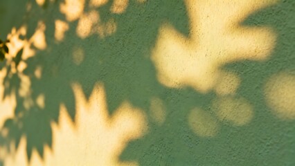 The blurred shadows of leaves on the light green wall evoke a relaxing and dreamy atmosphere.