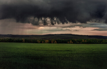Fototapeta premium Dramatic storm cloud over a wide green field. Dark rain curtains, heavy thunderclouds and contrasting evening light create a powerful atmospheric landscape. Ideal for themes of extreme weather, climat