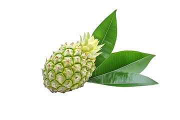 Fresh green pineapple with leaves isolated on transparent background.