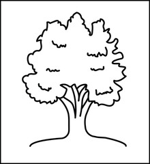 A deciduous tree with a full canopy of leaves, drawn in a simple line art sketch style. An illustration representing foliage and nature