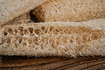 Dry luffa gourds. Natural sponges. Homegrown sponges. Close up of the inside of a natural sponge.