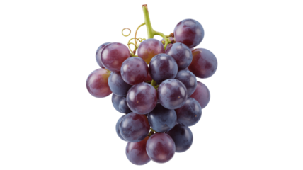 Bunch of fresh purple grapes isolated on transparent background