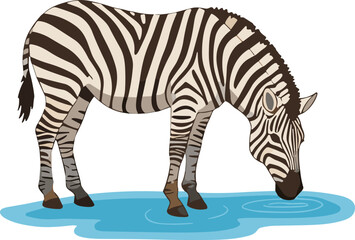 Cartoon zebra drinking water, wildlife illustration, African animal drawing, safari theme vector art, nature scene design, striped animal artwork