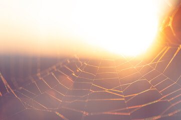 Obraz premium Rainbow spider silk against sky and sun, selective focus.