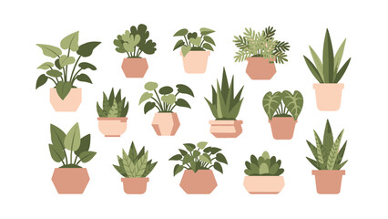 Diverse collection of vibrant indoor houseplants in various decorative pots, perfect for enhancing modern home and office interior aesthetics with natural greenery and freshness