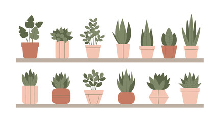 Collection of various potted indoor plants on shelves, ideal for home decor and interior design projects
