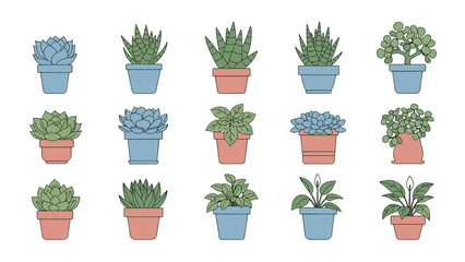 Diverse potted houseplants and succulents, perfect for interior design and botanical themes, in charming flat vector illustration