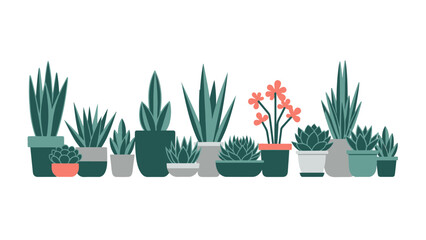 A charming collection of diverse potted succulent plants and cacti, perfect for modern home decor and creating a serene indoor garden ambiance