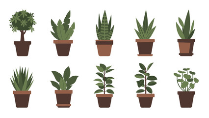 Stylish vector collection of various potted houseplants, perfect for enhancing home decor with diverse green indoor plants