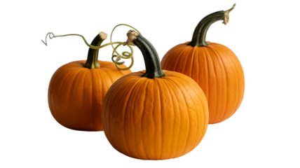 Three bright orange pumpkins with stems isolated on transparent background