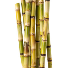 Bundle of fresh sugarcane stalks isolated on transparent background