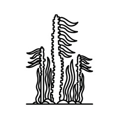 Black and white line art illustration of kelp forest underwater plant life isolated on
