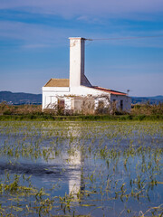 Fototapeta premium Albufera Natural Park in Valencia (Spain)