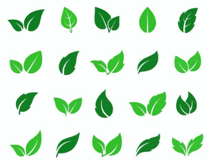 Green leaf icon set