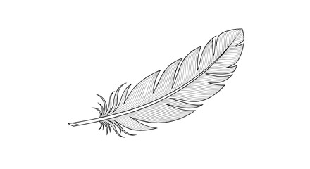 Obraz premium Elegant black and white line art illustration of a single bird feather, showcasing delicate textures and natural beauty.
