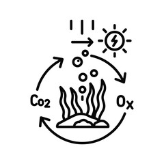 Aquatic Photosynthesis Cycle: Sunlight, Carbon Dioxide Intake, and Oxygen Release
