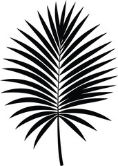 Black and White Tropical Palm Leaf Silhouette

