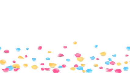 Colorful sweet rose petals on floor background of lovely banner