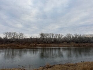 overcast river with bare trees, reflective still water and reed-lined shore, cool gray palette and subtle ripples, quiet isolated atmosphere perfect