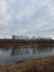 overcast river with bare trees, reflective still water and reed-lined shore, cool gray palette and subtle ripples, quiet isolated atmosphere perfect