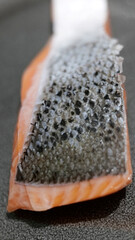 écailles et pavé de saumon