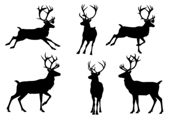 six pure black vector silhouettes of mature male reindeers (caribou) with massive, intricate antlers in dynamic poses on a transparent background. concept for luxury graphic asset collection