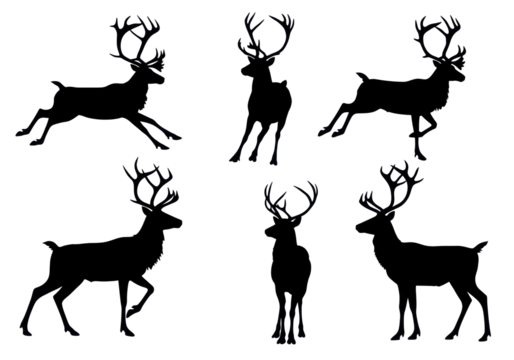 six pure black vector silhouettes of mature male reindeers (caribou) with massive, intricate antlers in dynamic poses on a transparent background. concept for luxury graphic asset collection - Powered by Adobe