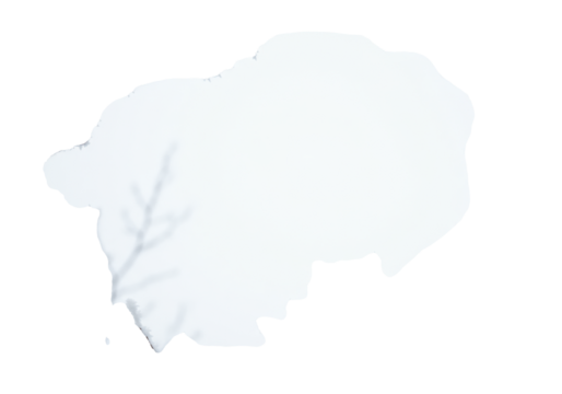 macro shot of intricate, slender deciduous tree branches heavily rimed with dazzling hoarfrost, against a seamless high-key white background with ample copy space. Concept of crisp winter elegance