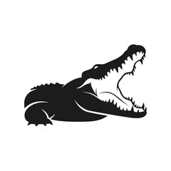 Aggressive alligator head with open mouth showing teeth