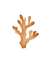 Obraz premium Golden Coral – Watercolor Underwater Element, This hand-painted watercolor illustration features elegant golden coral with soft textures and warm underwater tones. The artwork has a gentle, whimsical 