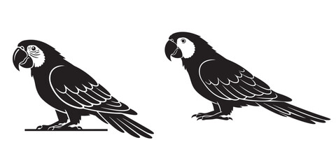 Vector illustration of a bird, Monochrome macaw tropical parrot silhouette line vector set