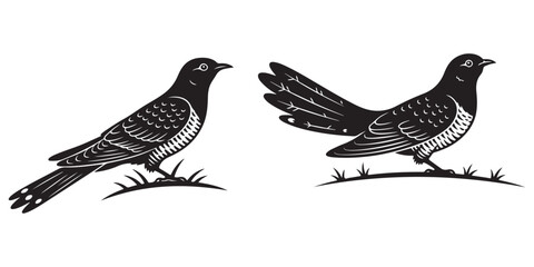 Birds on a white background, Vintage woodcut cuckoo bird stylized ground standing vector
