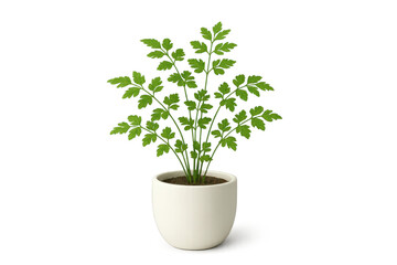 Obraz premium Elegant potted plant isolated on transparent background, a charming home decor