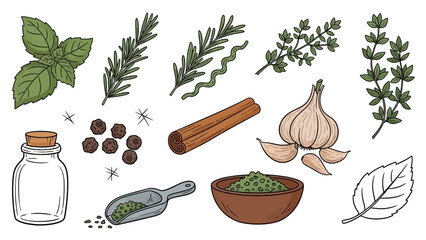 Assortment of Culinary Herbs and Spices Illustration.