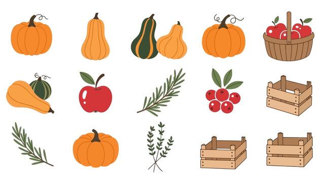 Autumn Harvest Collection - Pumpkins, Apples, Berries, and Herbs.