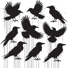 Naklejka premium Silhouetted ravens in various poses against white background