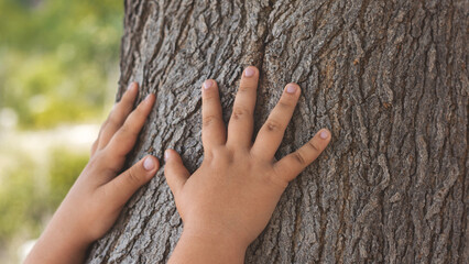 A child hugging a tree trunk