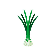 Illustration of a green onion with white background on transparent background
