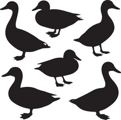 Black duck silhouettes on a clean white background